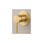 LUCID PIN Series Wall Mixer 80MM Cover Plate Brushed Brass
